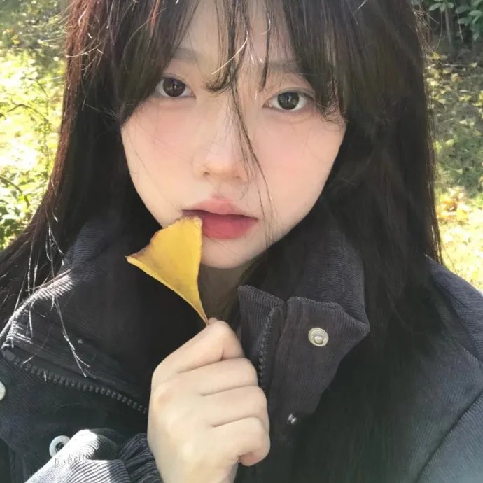 独家新闻的雏鸟